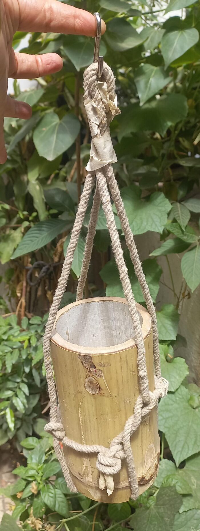 UNPOLISHED BAMBOO PLANTER - Image 1
