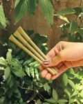 Eco-friendly Pen (PACK OF 3)