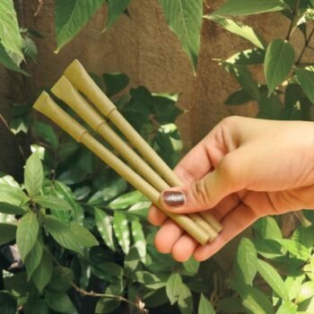 Eco-friendly Pen (PACK OF 3)