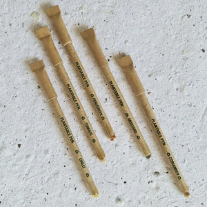 Eco-friendly Seed Pen (PACK OF 10)