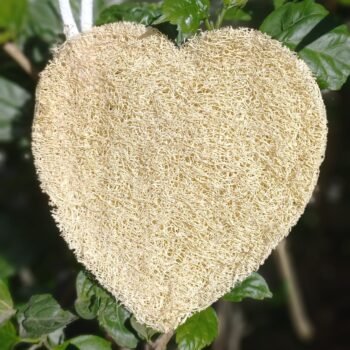 Natural Loofa