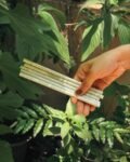 Recycled News Paper Pencil (PACK OF 5)