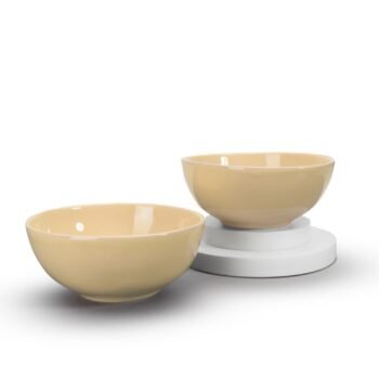 EARTH TATVA ABHA RECYCLED CERAMIC BOWLS  SET OF -2