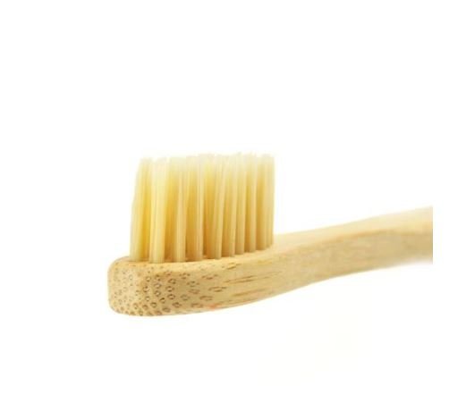 Brush1.jpg