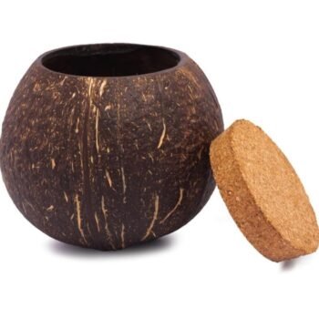Coconut Container With Lid