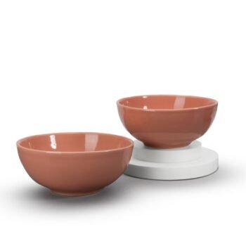 EARTH TATVA PADMA RECYCLED CERAMIC BOWLS  SET OF -2