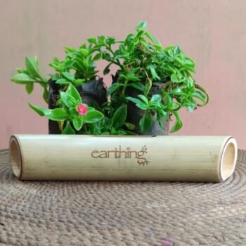 Bamboo Speaker- Classic