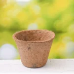 COIR LINING POT