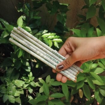 RECYCLED PAPER SEED PENCILS (PACK OF 5)