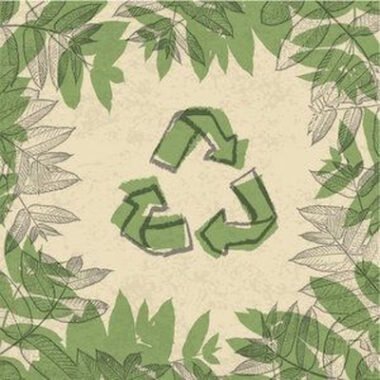 Upcycled Products