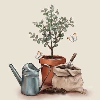 Gardening & Home Composting