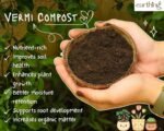 VERMICOMPOST (1kg)