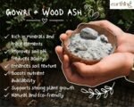 GOWRI & WOOD ASH