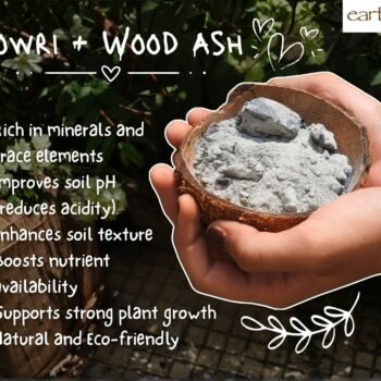 GOWRI & WOOD ASH