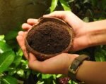 REGULAR COMPOST (1kg)