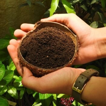 REGULAR COMPOST (1kg)
