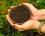 VERMICOMPOST (1kg)